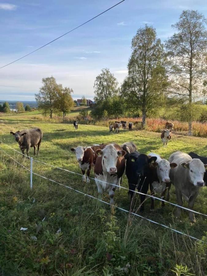 Grindstugan Pa Fyras Gard Hammerdal Zewnętrze zdjęcie