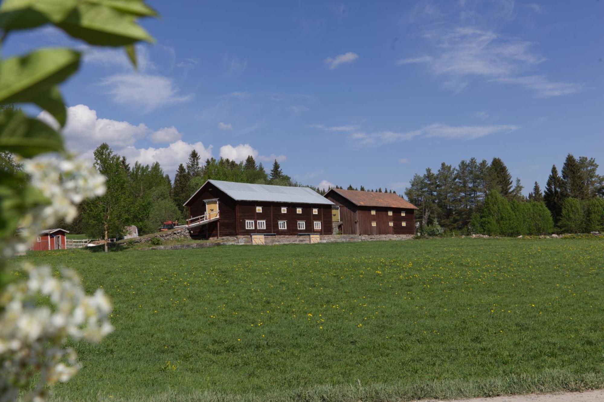 Grindstugan Pa Fyras Gard Hammerdal Zewnętrze zdjęcie